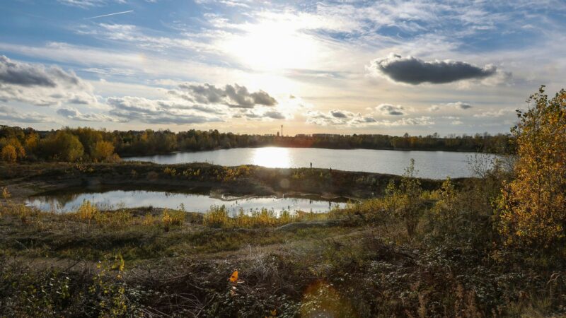 Leverkusen-Hitdorf: Neue Schilder informieren zur Natur am Buschbergsee