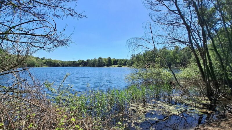 Feuerwehreinsatz: Schlangenalarm im Silbersee in Leverkusen