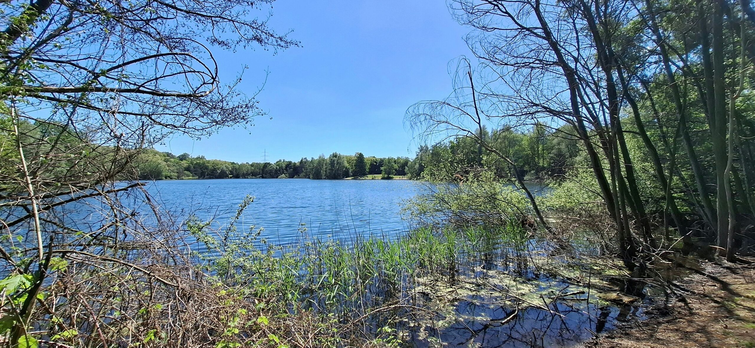 Feuerwehreinsatz: Schlangenalarm im Silbersee in Leverkusen