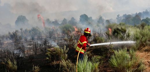 Portugal: Feuerwehrmann stirbt nach Einsatz gegen Waldbrand – viertes Todesopfer