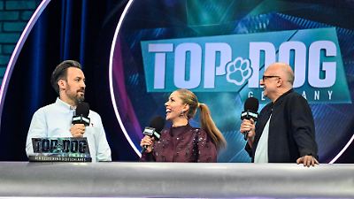 „Top Dog Germany” verpasst? Jetzt ganze Folge auf RTL+ nachholen und streamen