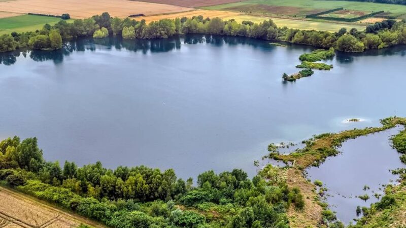 Vogelparadies Buschbergsee in Leverkusen-Hitdorf: „Hier klingt’s wie im Urlaub an der See“