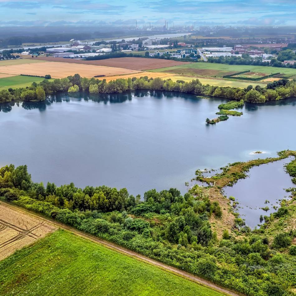 Vogelparadies Buschbergsee in Leverkusen-Hitdorf: „Hier klingt’s wie im Urlaub an der See“