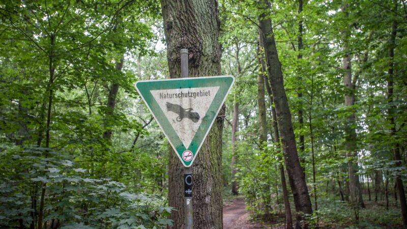 Kommunalwahl: Was Leverkusener Naturschützer von der Politik fordern