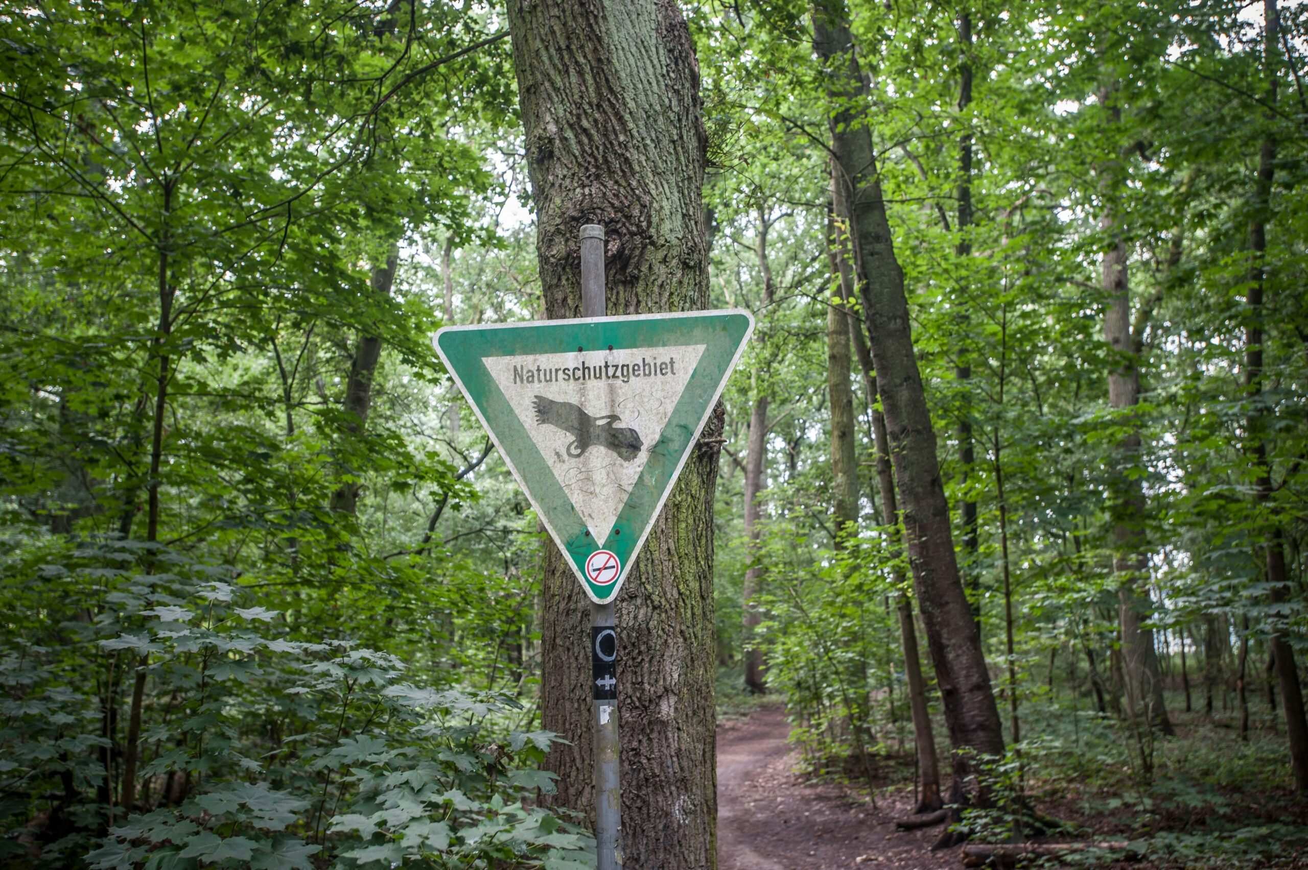 Kommunalwahl: Was Leverkusener Naturschützer von der Politik fordern