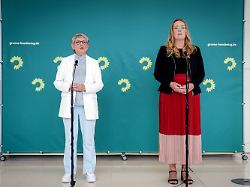 Regierung und Linke eingeladen: Grüne dringen auf schnelles Handeln beim AfD-Verbot