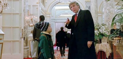 Woody Allen: Hollywood-Star lobt Schauspielkünste von Donald Trump