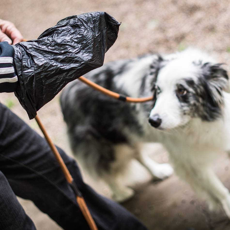 Ratsantrag in Leverkusen: Bürgerliste will Kotbeutel für Hunde vorschreiben