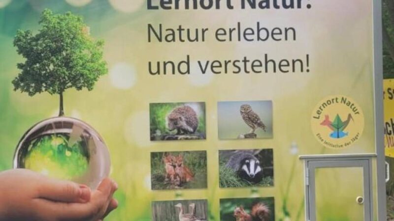 Freudenthaler Sensenhammer in Leverkusen: Familienfest mit rollender Waldschule